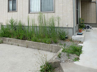 雑草はお湯で無理なく除去