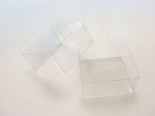 育てやすい花からスタート