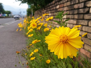 「続ける」ために、歩くことを楽しむ