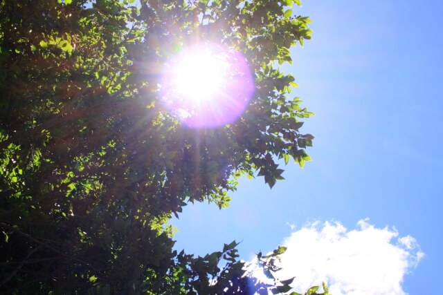 クーラーなしの時間帯を増やす工夫を