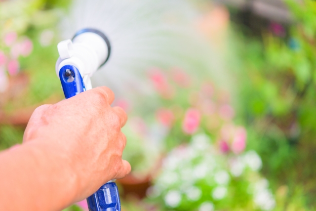 園芸用品として植物の水やりに活用