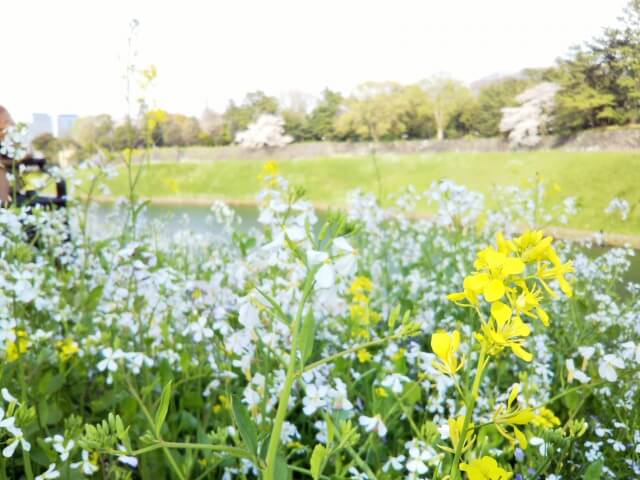 同じ道を歩いても目の付け所を変えてみる