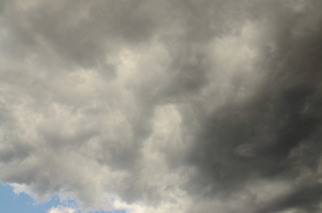 見過ごしがちな冷蔵庫、便座の電気使用量