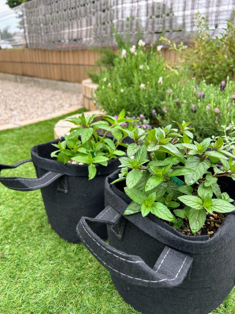 知らない間にハチを引き寄せている！？