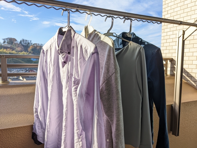 ベランダでハチに遭遇してしまったら？