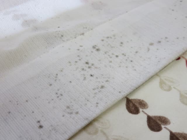 黒いポツポツ「カビ」は、洗う前に処理を