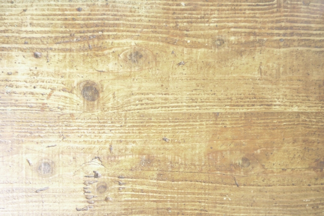 インフルエンザ抑制効果、森林浴の香りで免疫力向上