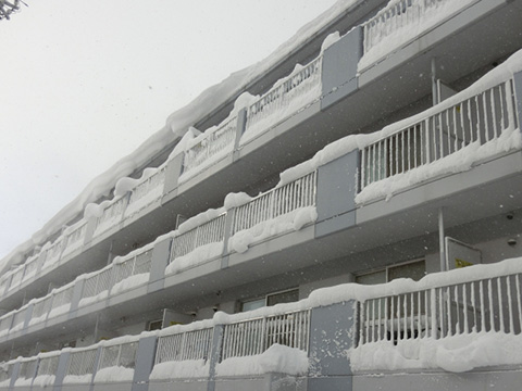 ここがポイント、除雪も凍結も安心な住まいの簡単雪対策