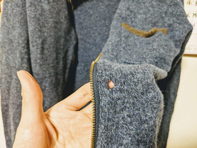 正しい衣類のムシ対策が住まいを守る！そのための重要ポイント