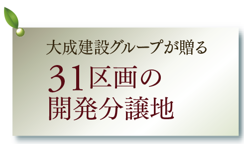 31区画の開発分譲地