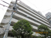 グレイス板橋物件写真