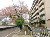 ハウス南ときわ台物件写真