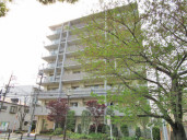 エコヴィレッジ常盤台けやきの公園物件写真