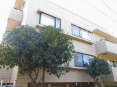 パラシオン椎名町物件写真