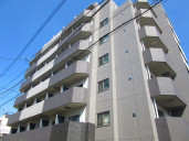 フェニックス椎名町物件写真