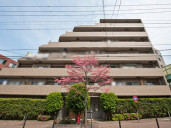 エンゼルパークサイド飛鳥山物件写真