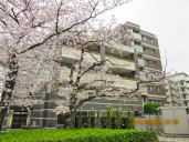 クレヴィア赤羽物件写真