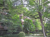 広尾ガーデンフォレストＤ棟物件写真