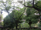 広尾ガーデンフォレストＦ棟物件写真