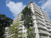 ガーデンハウス物件写真