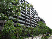 グランドヒルズ三軒茶屋ヒルトップガーデン　コンフィデントフォート物件写真