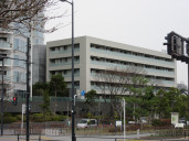 二子玉川ライズタワー＆レジデンス　レジデンスフォレスト物件写真