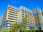 グランアルト豊洲物件写真