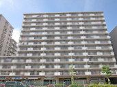 コープ野村亀戸物件写真