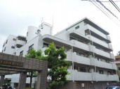 ワコーレ錦糸町Ⅱ物件写真