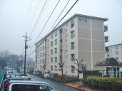 高津団地物件写真