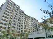 パティオスグランエクシア１番館物件写真