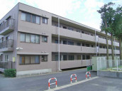 柏ファミールハイツ逆井２番館物件写真