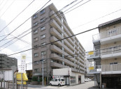 チサンロイヤルステージ柏物件写真