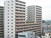 ウィルローズ鳩ヶ谷物件写真