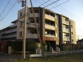 サンアリーナ調布物件写真