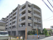 レクセルマンション花小金井物件写真