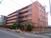 国立ローヤルパレス物件写真