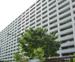 ブロードアベニュー国分寺物件写真