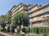 ナイスパークステイツ淵野辺物件写真