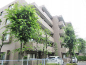 アルス鷺沼弐番館物件写真